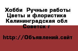 Хобби. Ручные работы Цветы и флористика. Калининградская обл.,Советск г.